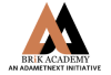 Brik Academy